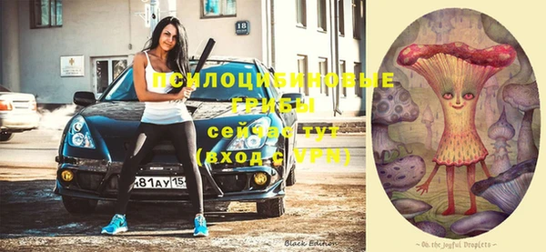 кокаин Богородицк