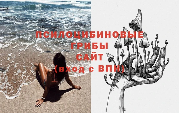 кокаин Богородицк