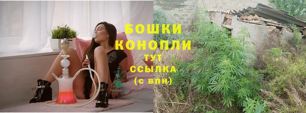 прущая мука Богданович