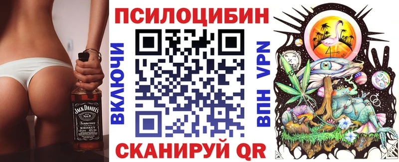 MEGA вход  Гатчина  Галлюциногенные грибы мухоморы 