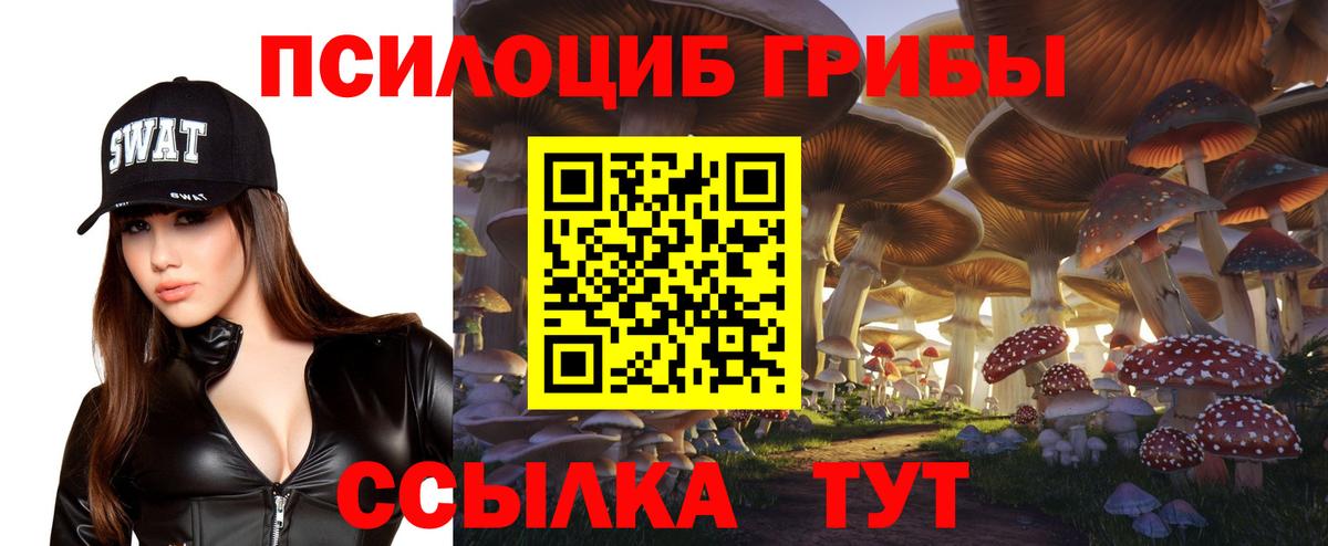 Псилоцибиновые грибы мицелий Гатчина