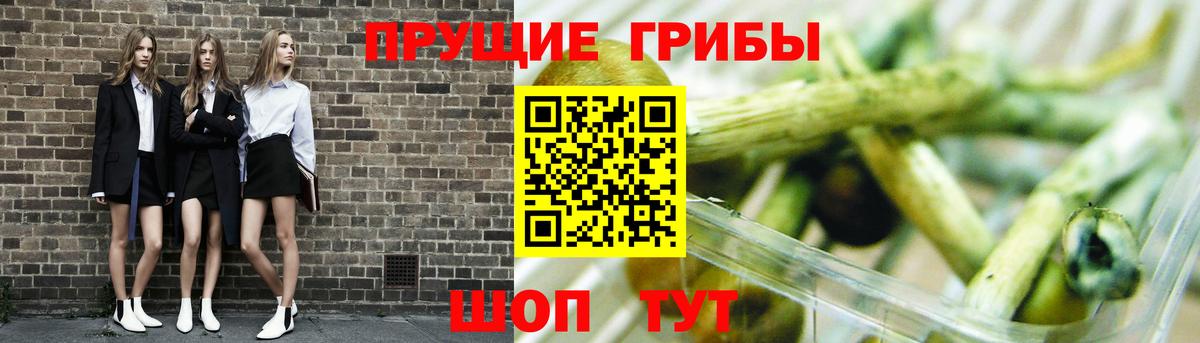 Гатчина  Псилоцибиновые грибы MAGIC MUSHROOMS  Вход с VPN 