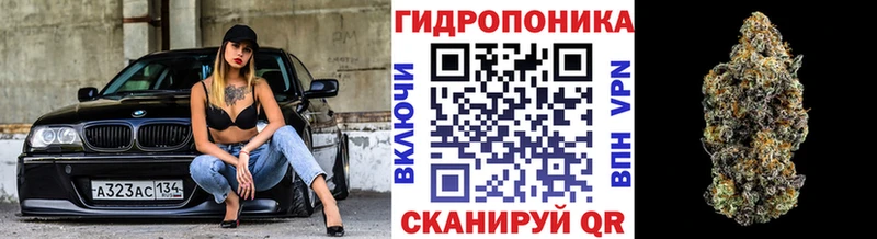 дарнет шоп  Гатчина  shop формула  Канабис AK-47 